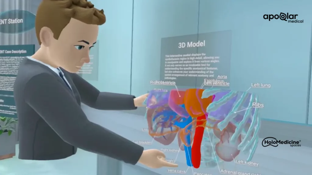 3D Anatomical Models for Medical Training in Virtual Reality