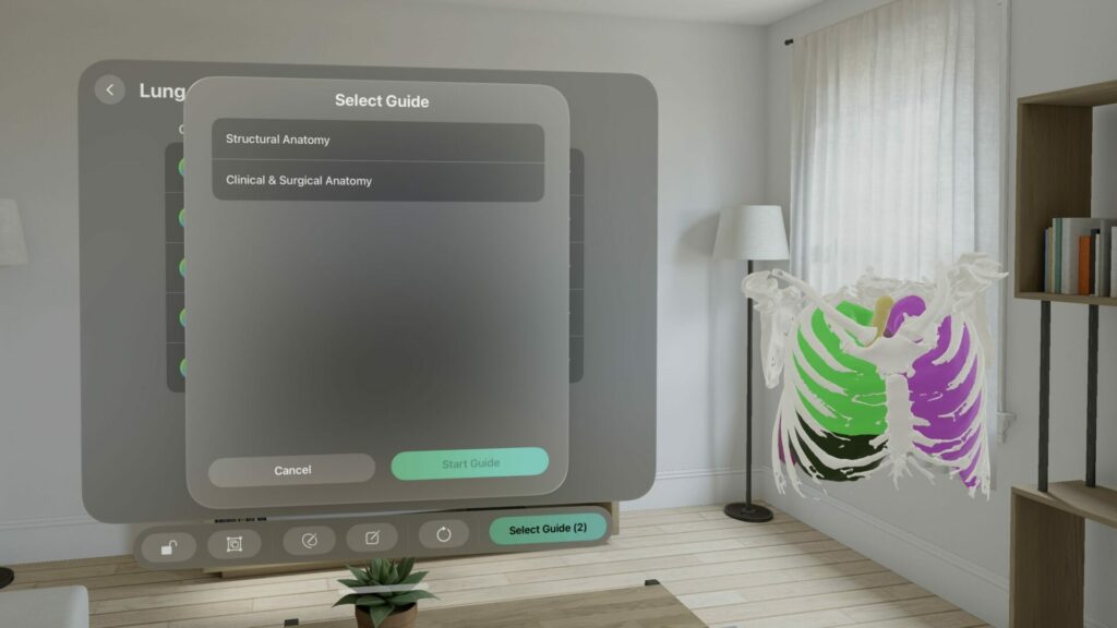 3D anatomy training simulation for immersive spatial learning